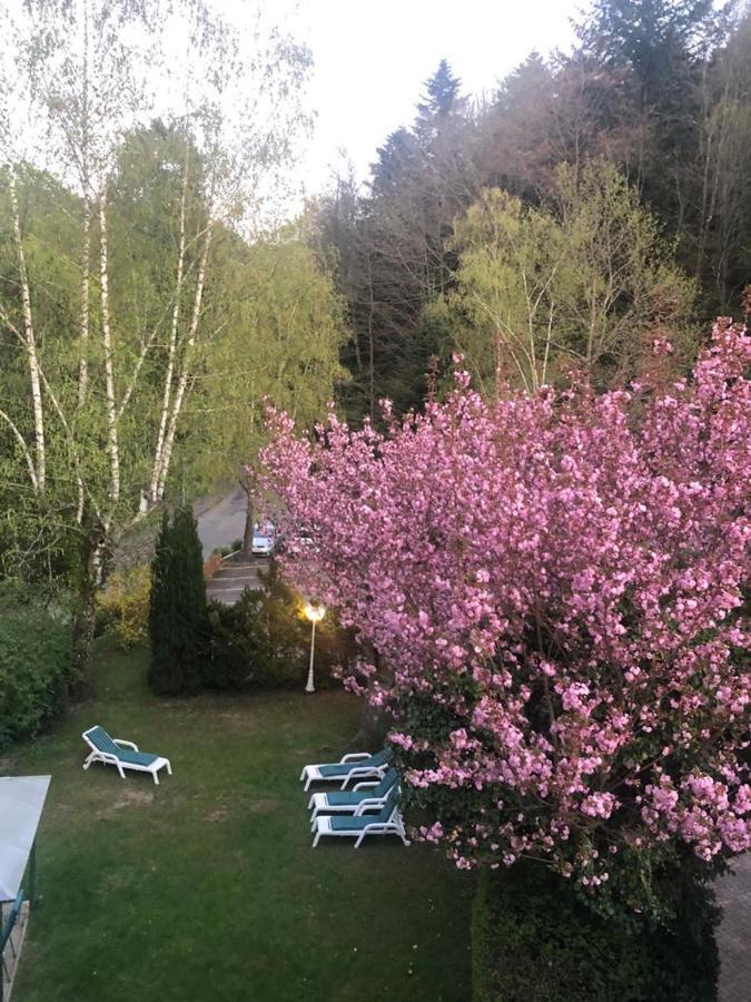 Hotel Relax Tannenhof Badenweiler